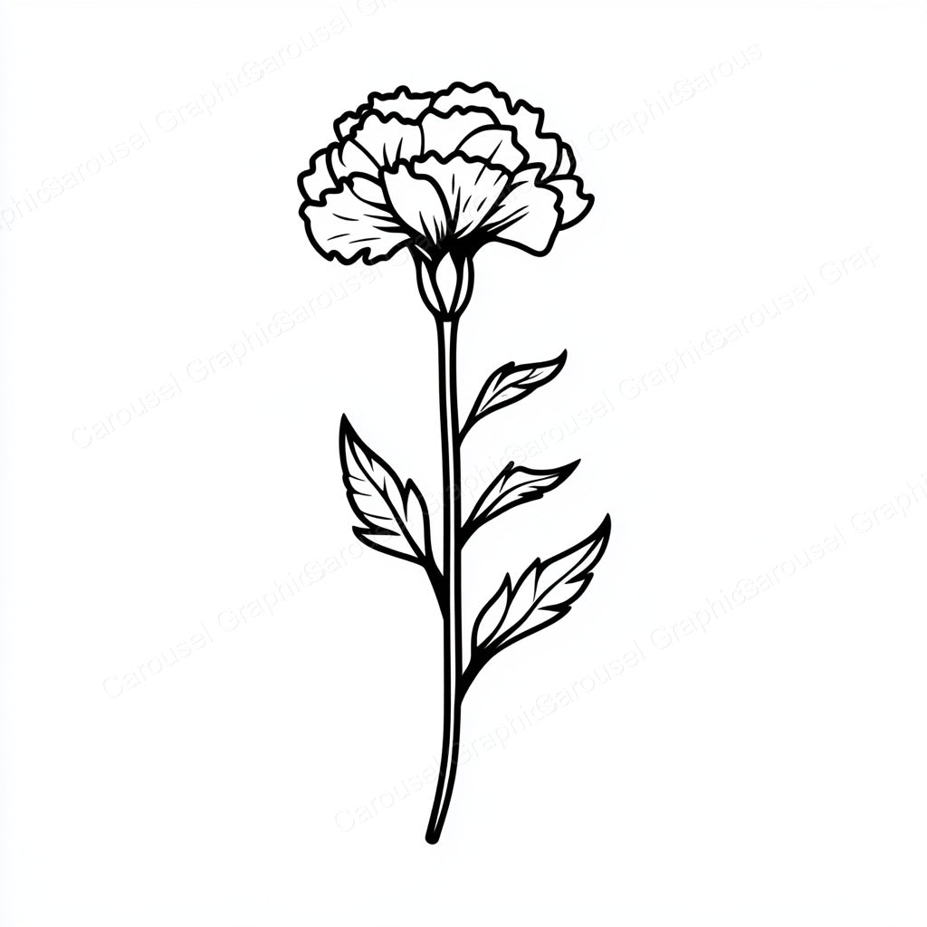 Carnation Vector Graphic preview