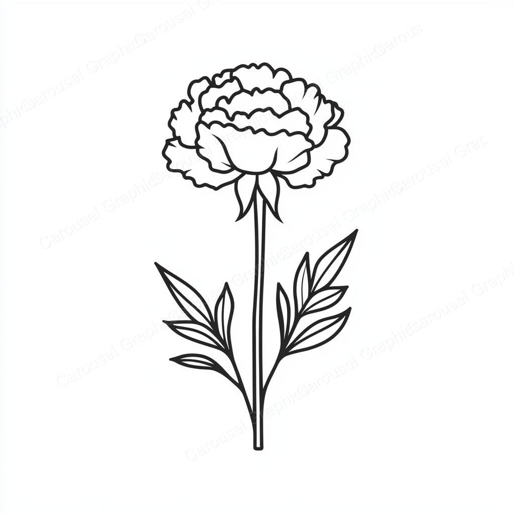 Carnation Vector Graphic preview