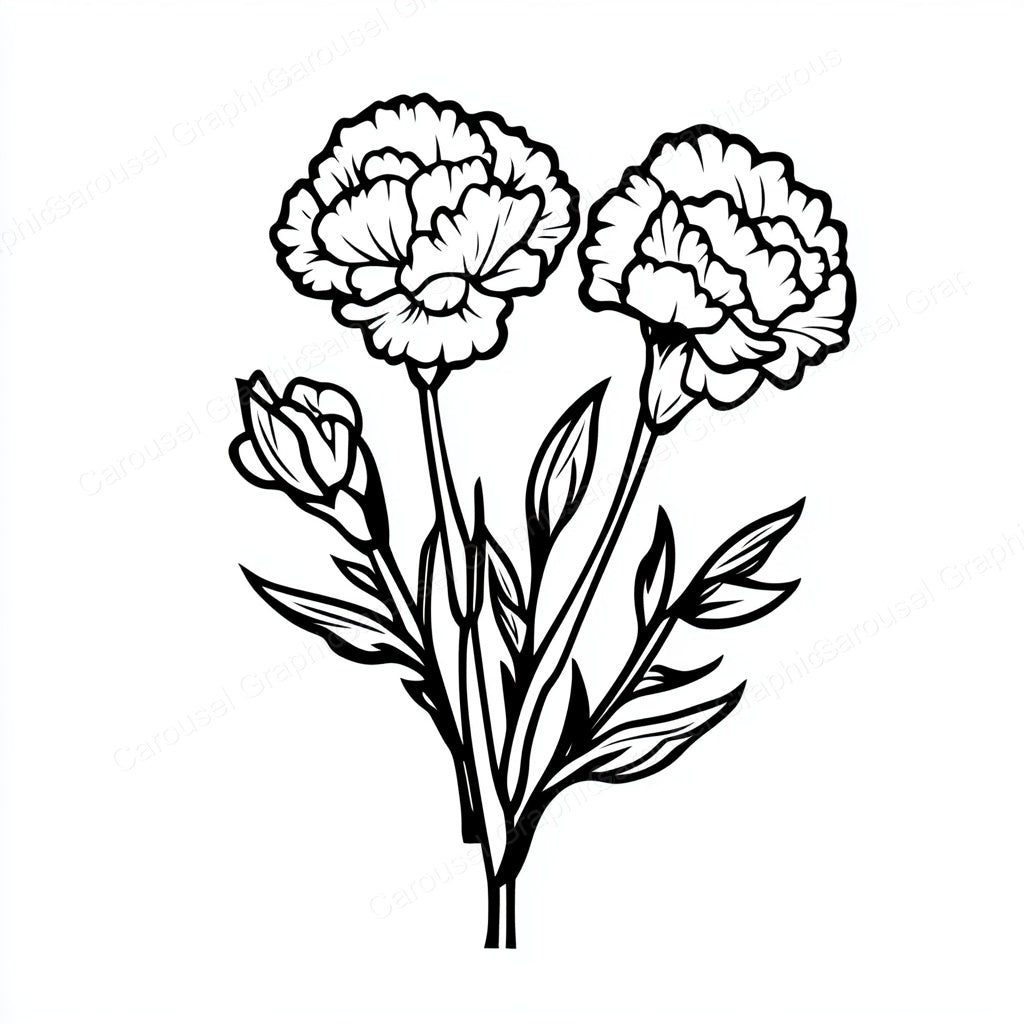 Carnation Vector Graphic preview