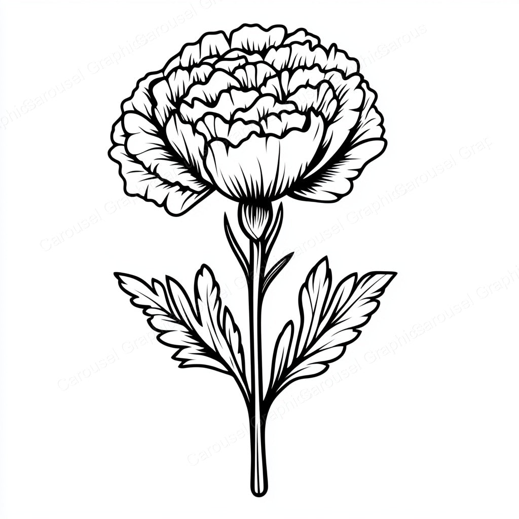 Carnation Vector Graphic preview