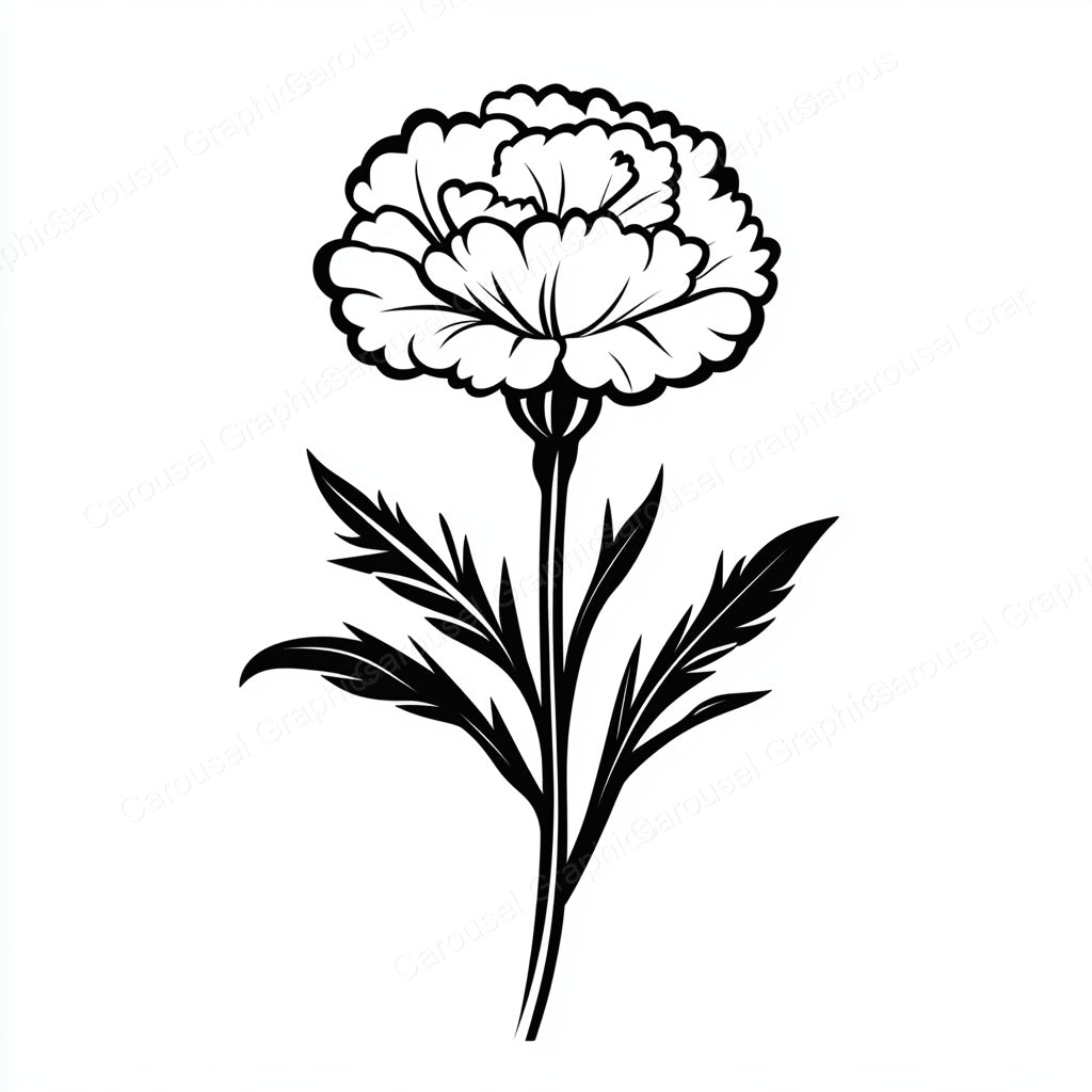 Carnation Vector Graphic preview