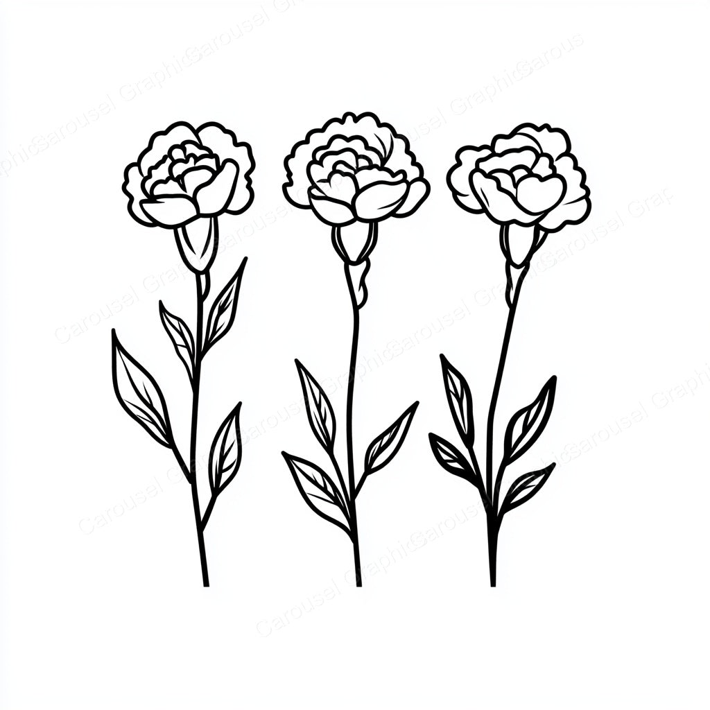Carnation Vector Graphic preview