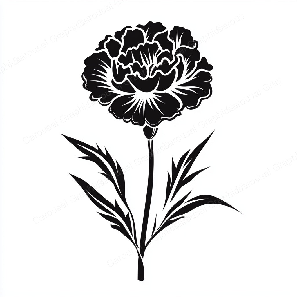 Carnation Vector Graphic preview