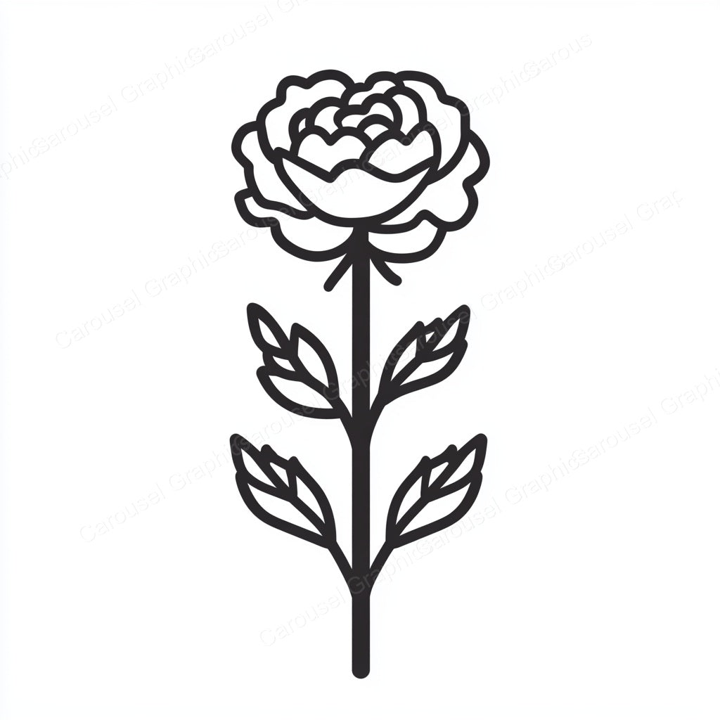 Carnation Vector Graphic preview