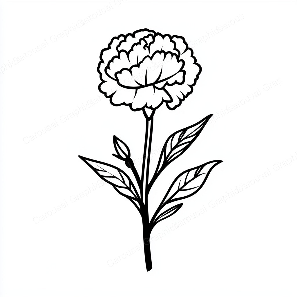 Carnation Vector Graphic preview