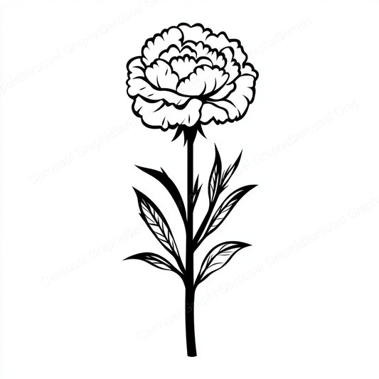 Carnation Vector Graphic preview