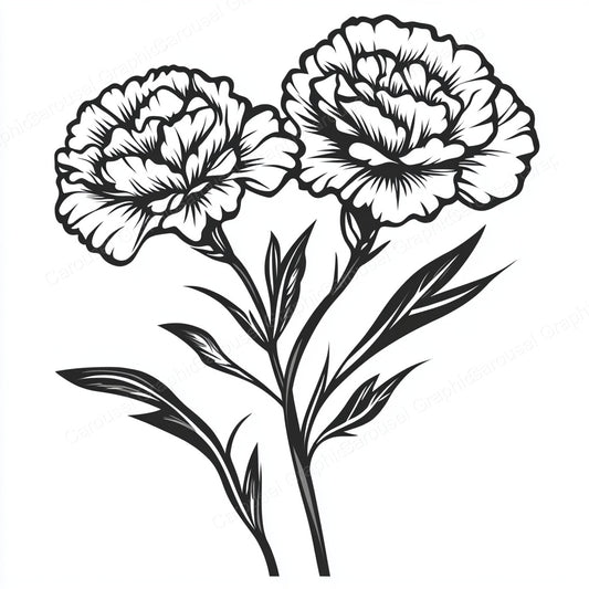 Carnation Vector Graphic preview