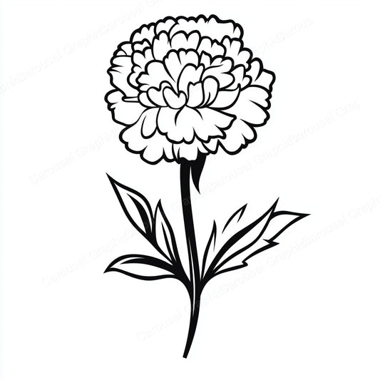 Carnation Vector Graphic preview
