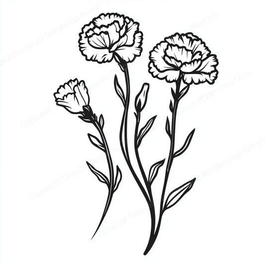 Carnation Vector Graphic preview