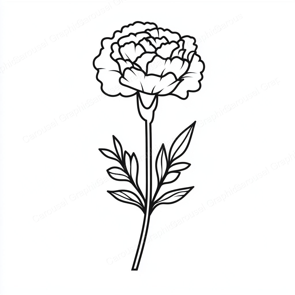 Carnation Vector Graphic preview