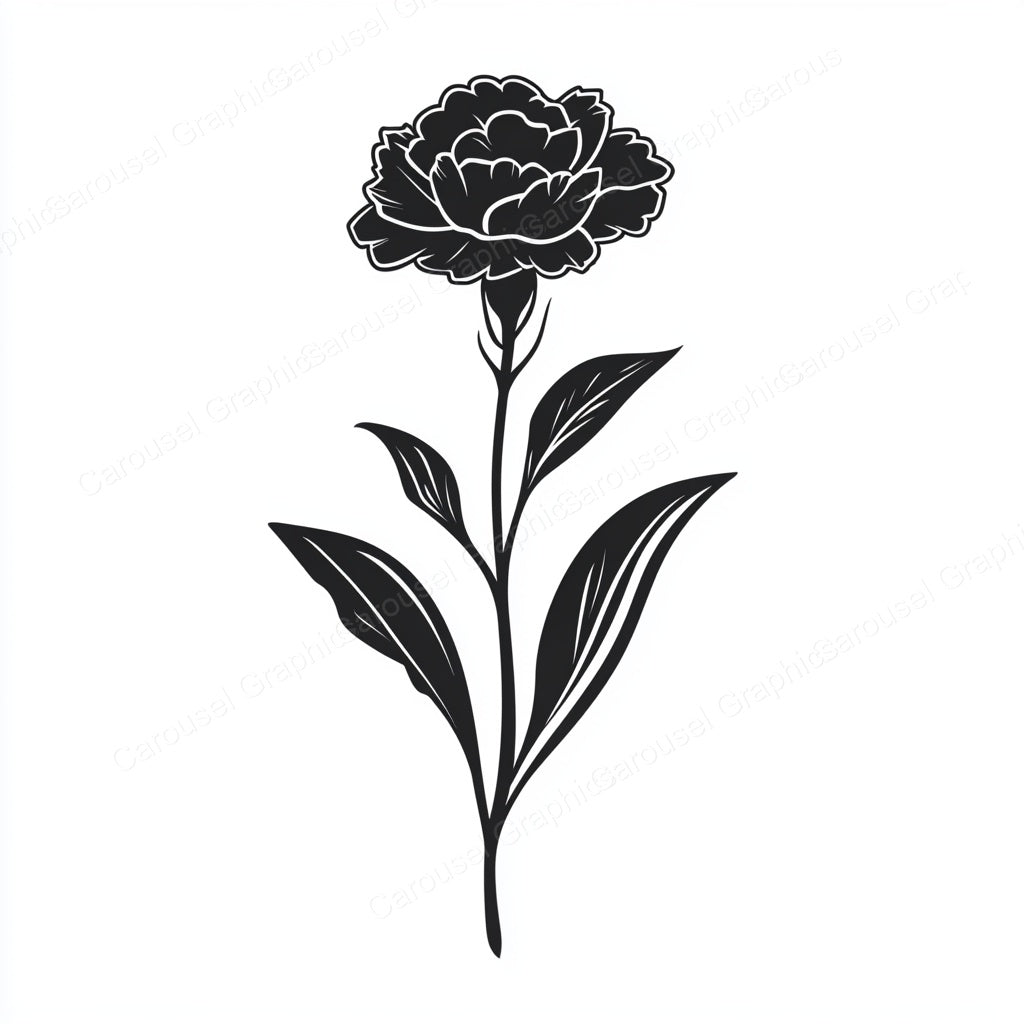Carnation Vector Graphic preview