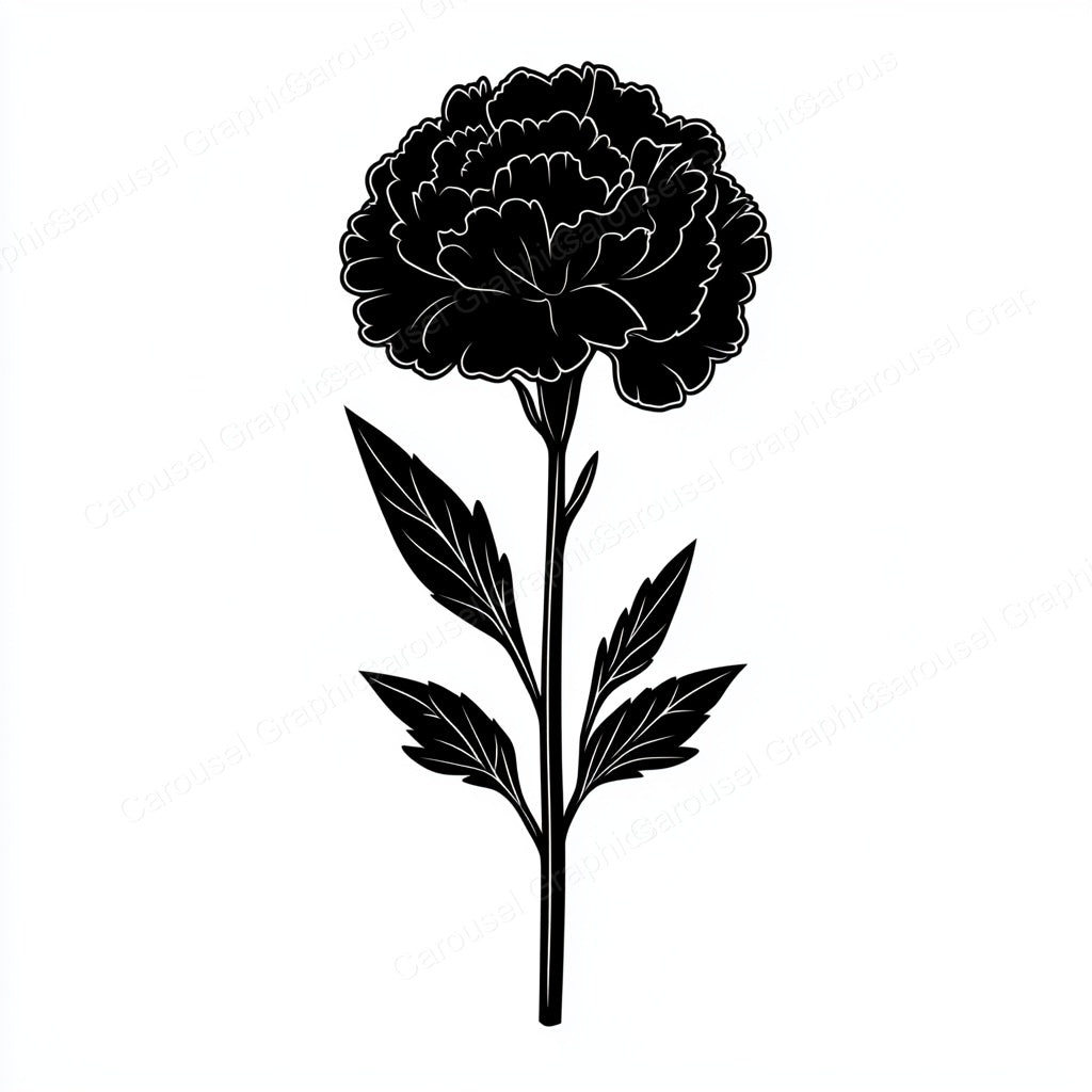 Carnation Vector Graphic preview