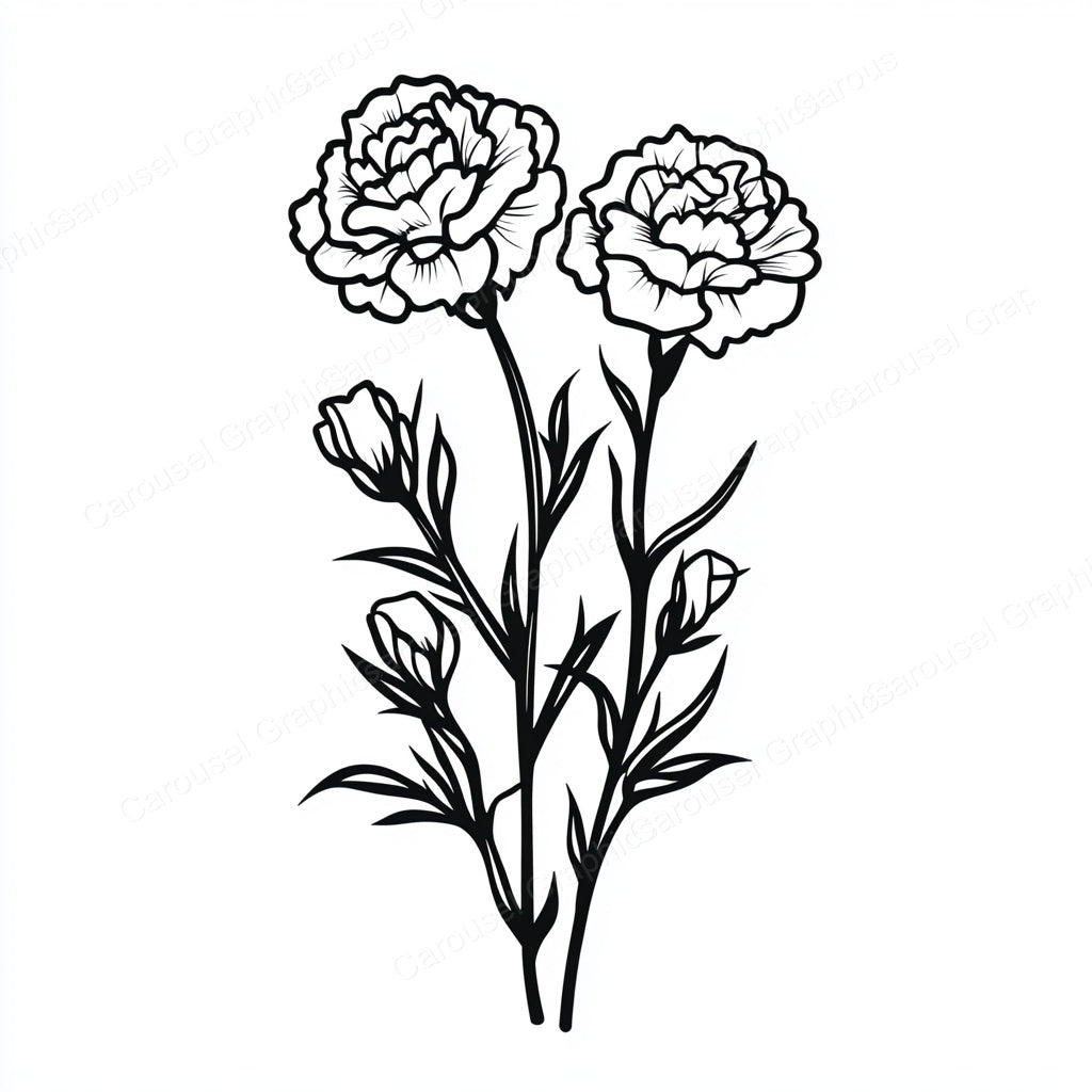 Carnation Vector Graphic preview