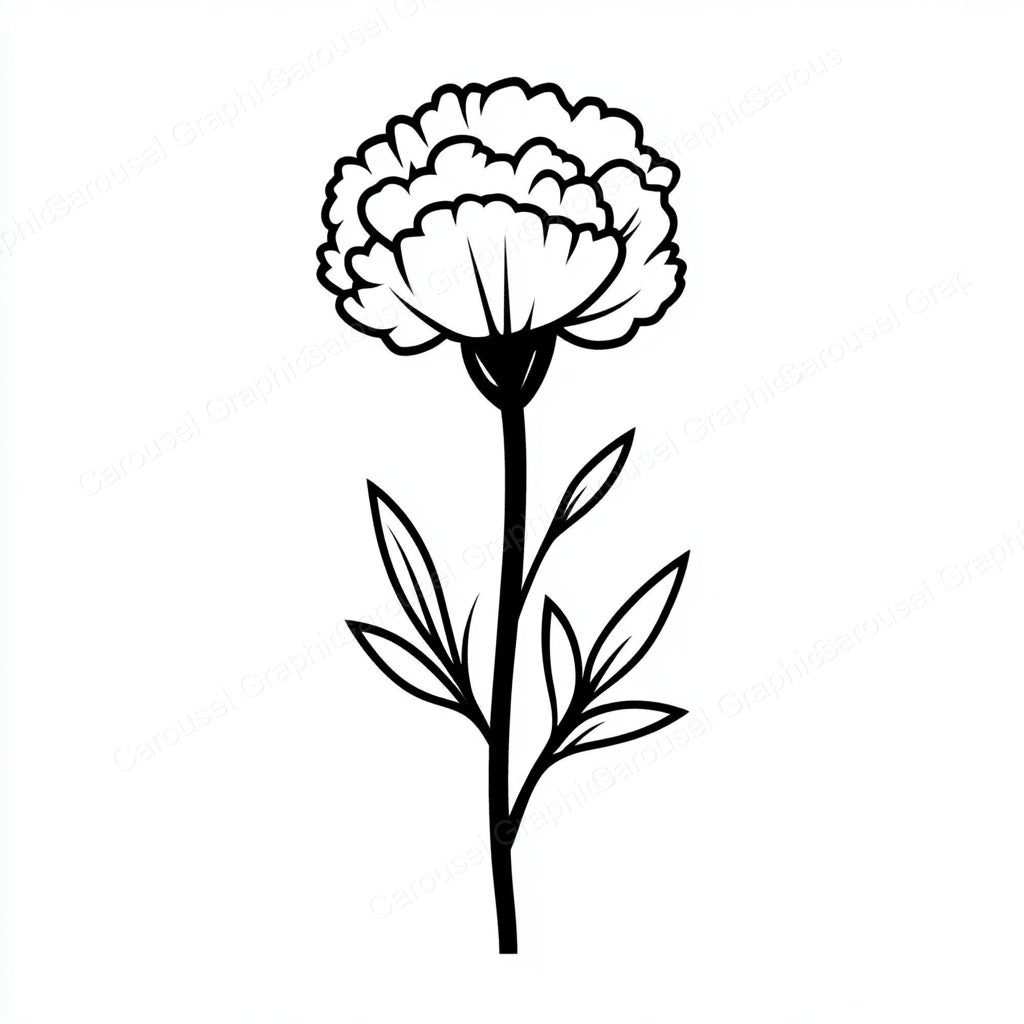 Carnation Vector Graphic preview