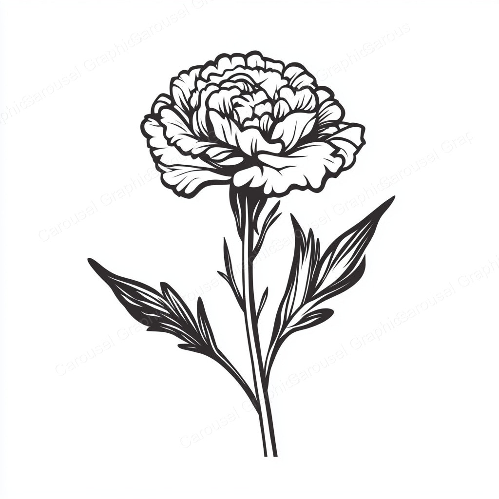 Carnation Vector Graphic preview