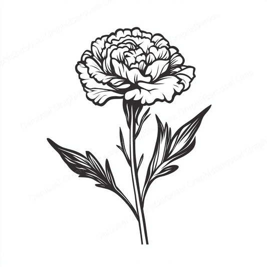 Carnation Vector Graphic preview