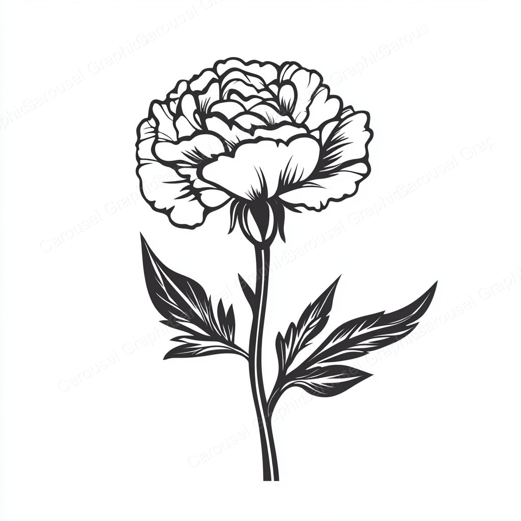 Carnation Vector Graphic preview