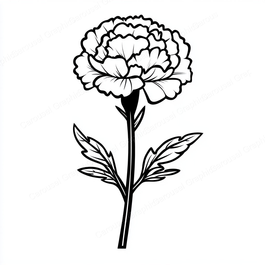 Carnation Vector Graphic preview