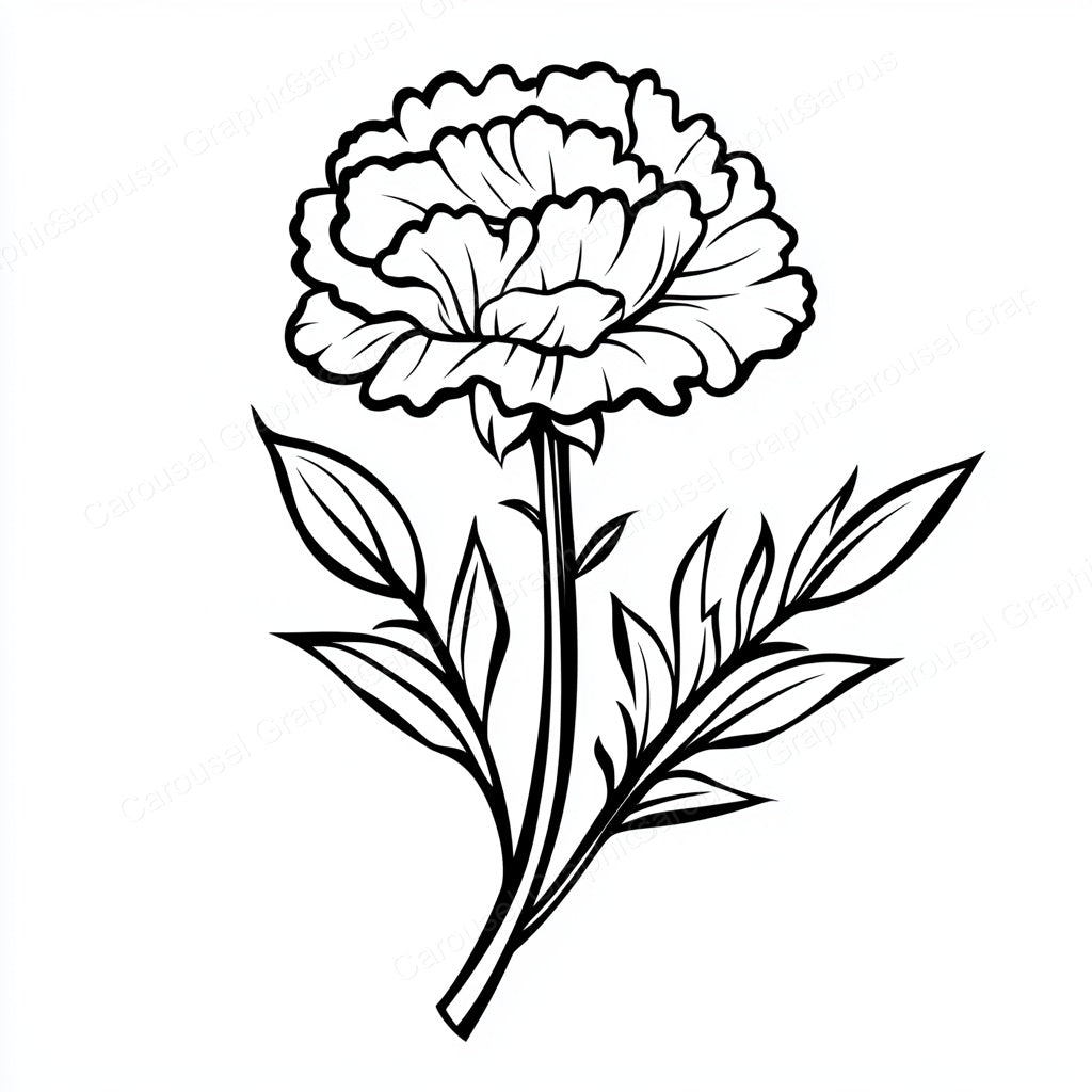 Carnation Vector Graphic preview