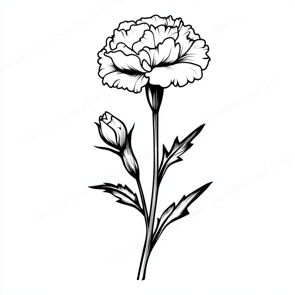 Carnation Vector Graphic preview