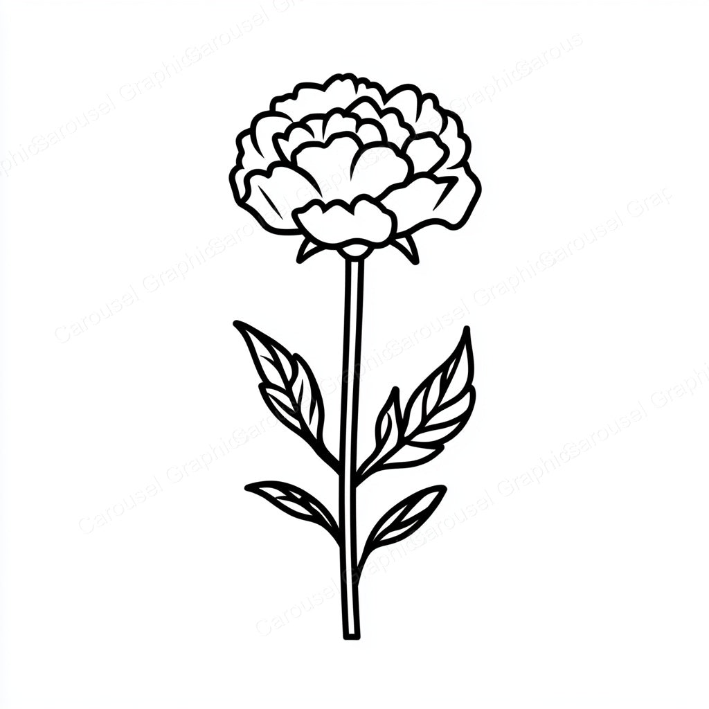Carnation Vector Graphic preview