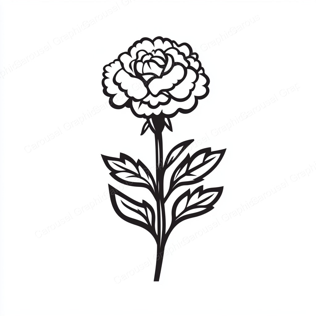 Carnation Vector Graphic preview