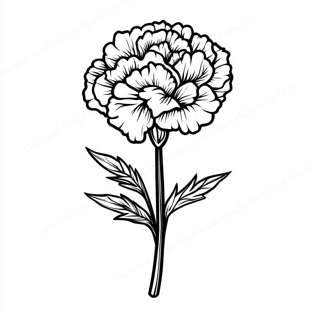 Carnation Vector Graphic preview
