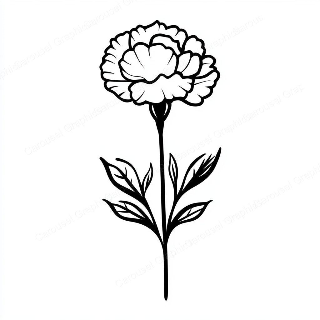 Carnation Vector Graphic preview