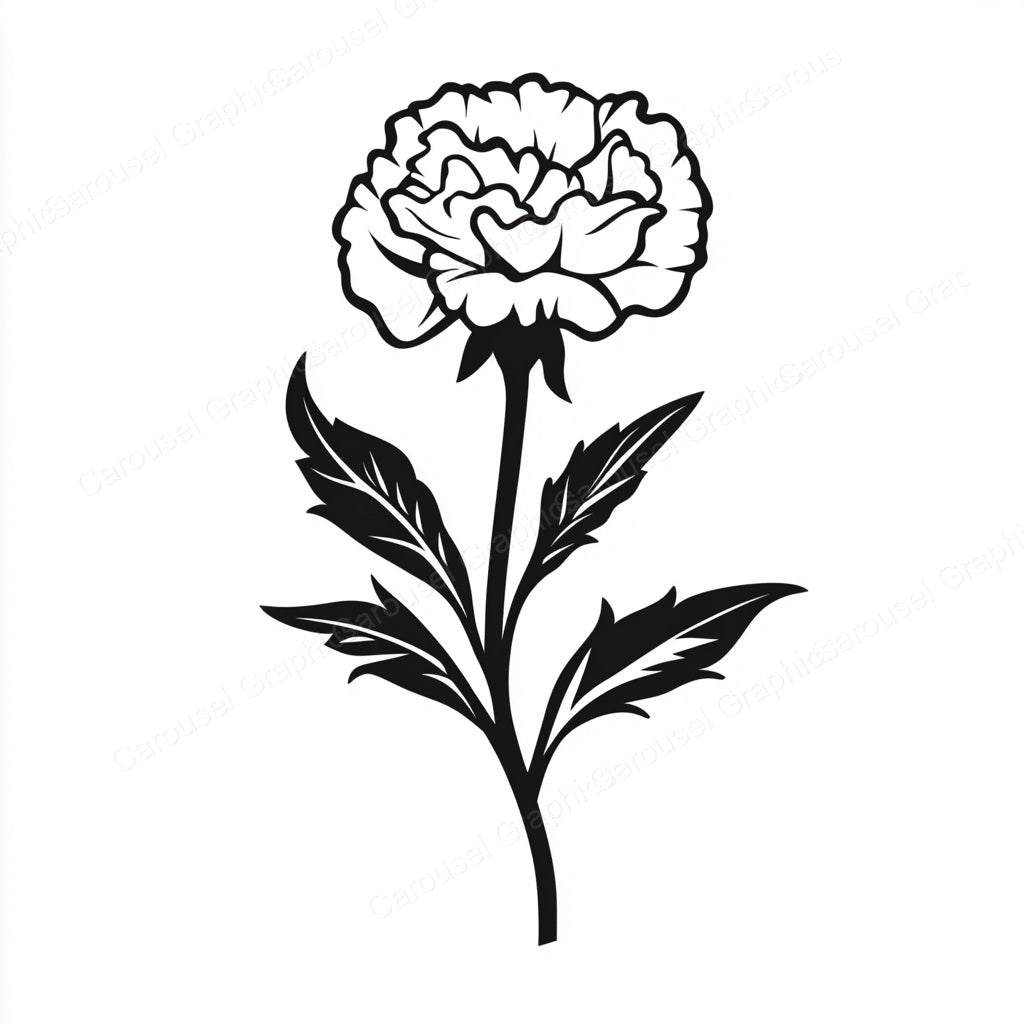 Carnation Vector Graphic preview