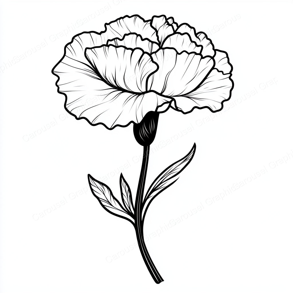 Carnation Vector Graphic preview