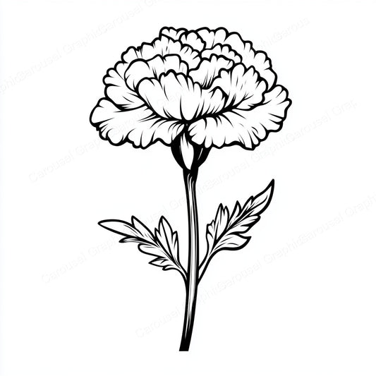 Carnation Vector Graphic preview