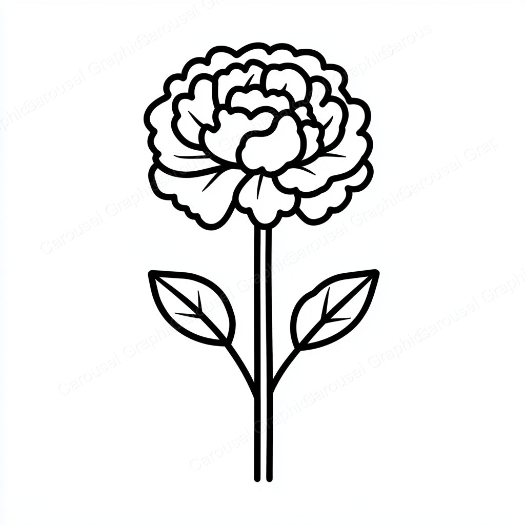 Carnation Vector Graphic preview