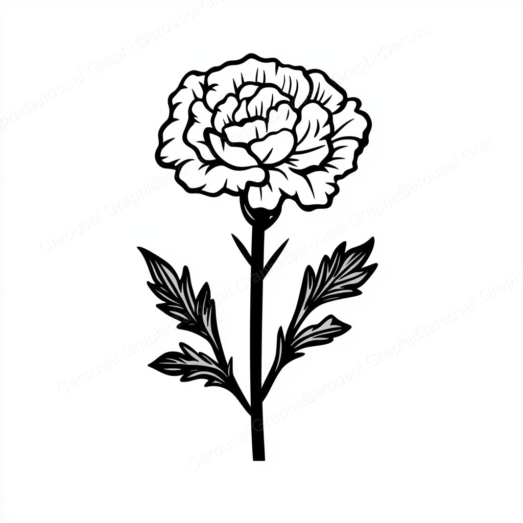Carnation Vector Graphic preview