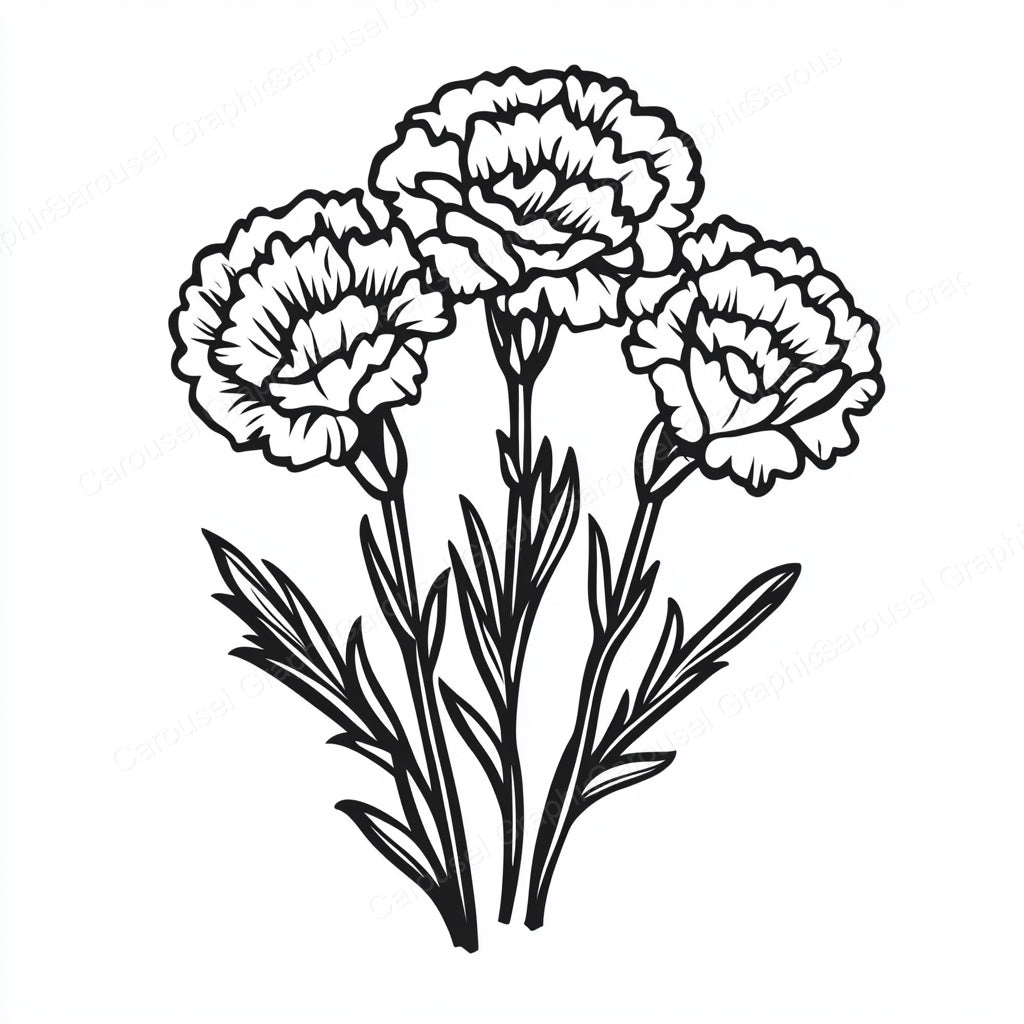 Carnation Vector Graphic preview