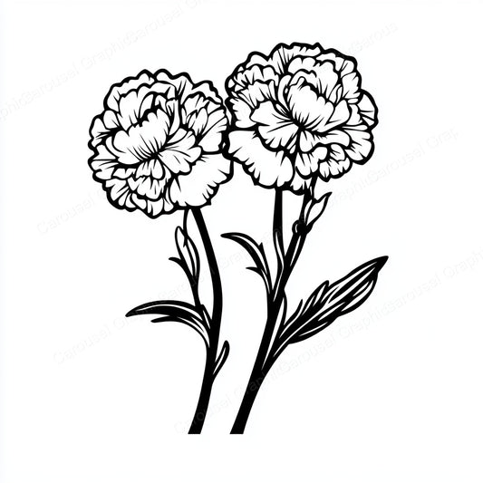 Carnation Vector Graphic preview
