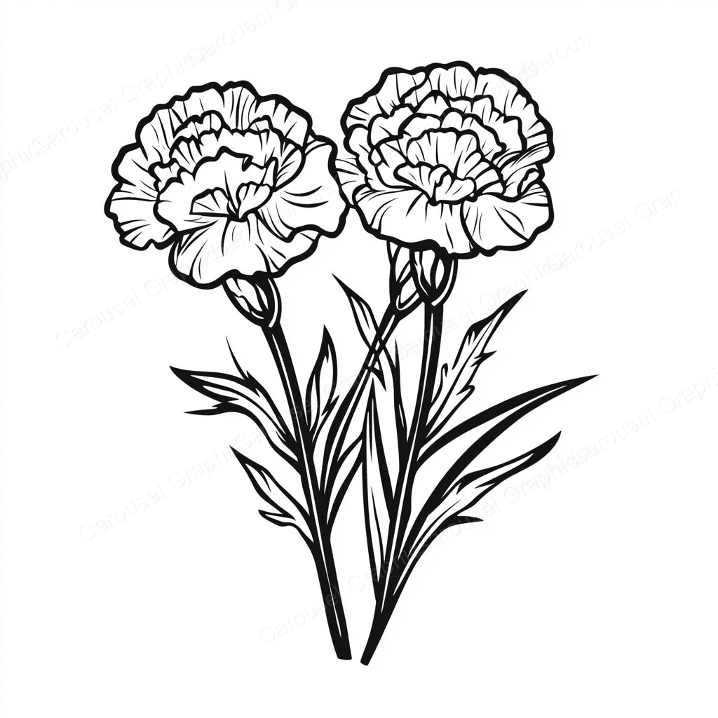 Carnation Vector Graphic preview