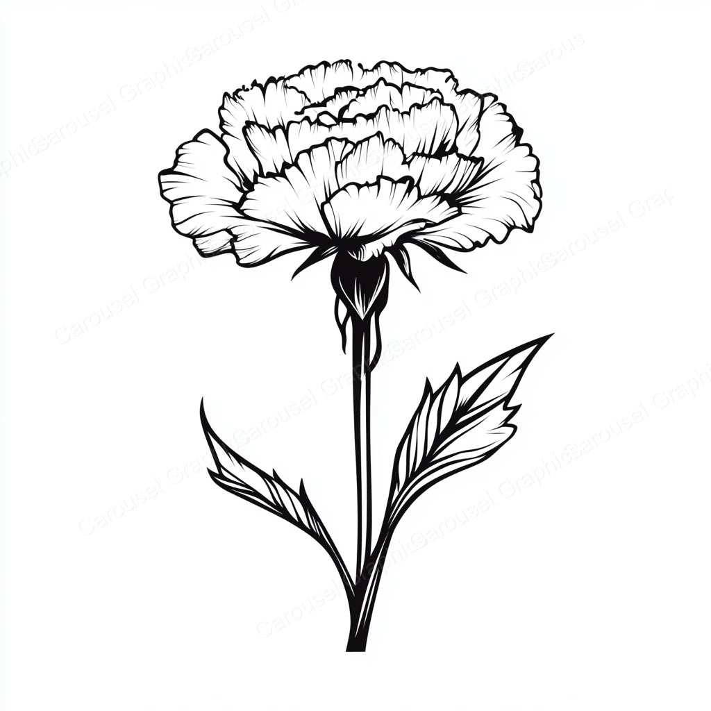 Carnation Vector Graphic preview