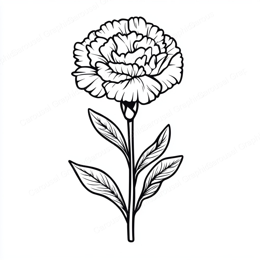 Carnation Vector Graphic preview