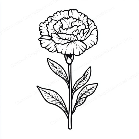Carnation Vector Graphic preview