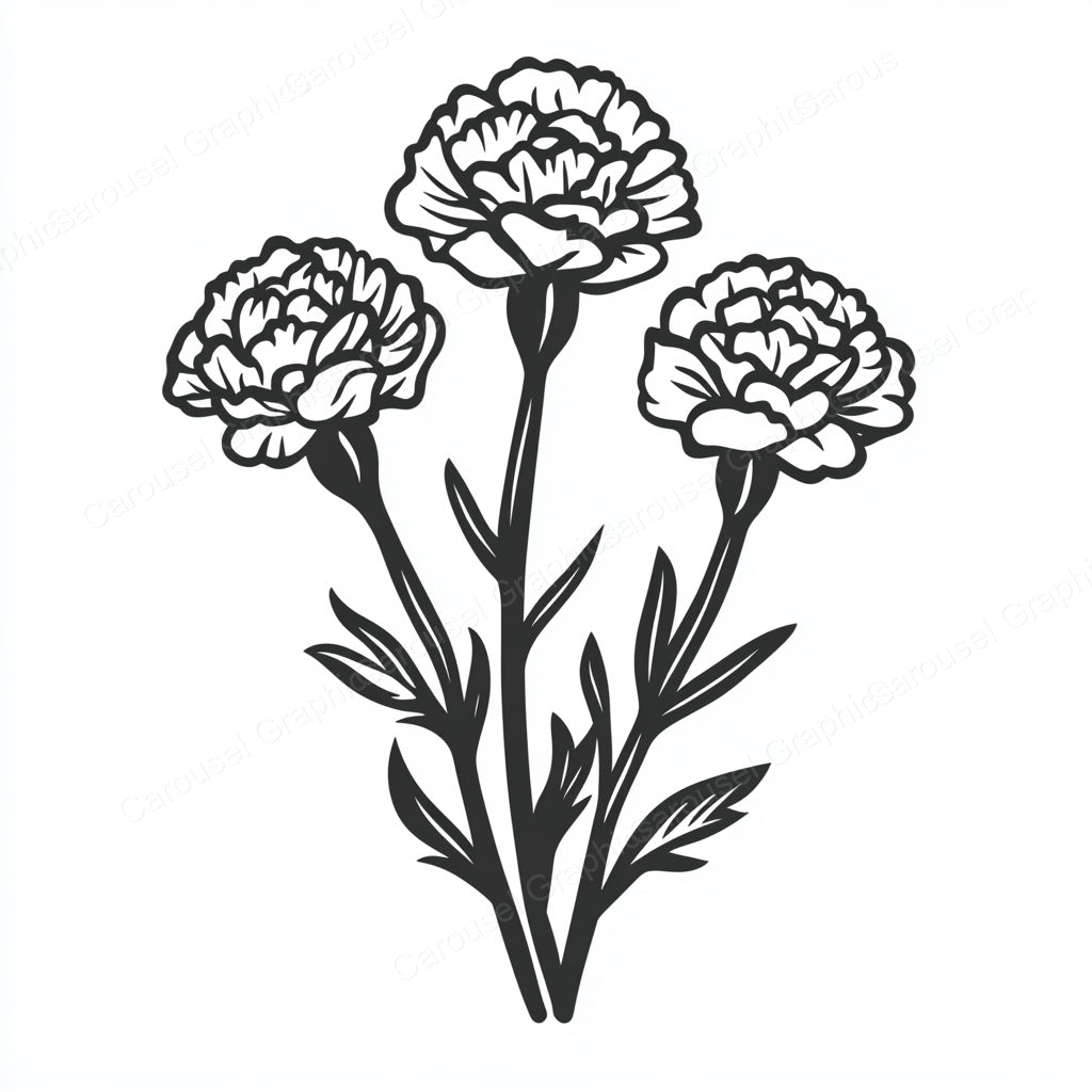 Carnation Vector Graphic preview