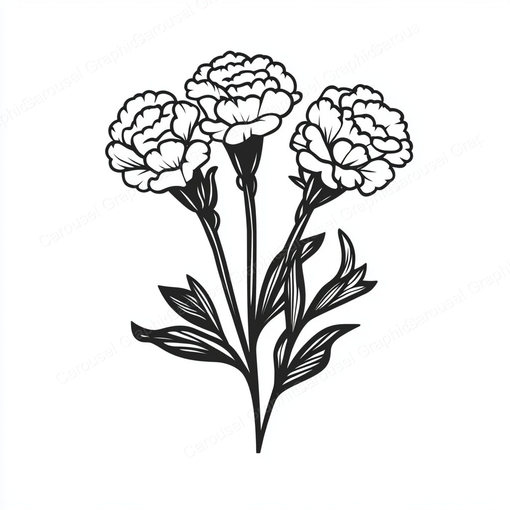Carnation Vector Graphic preview