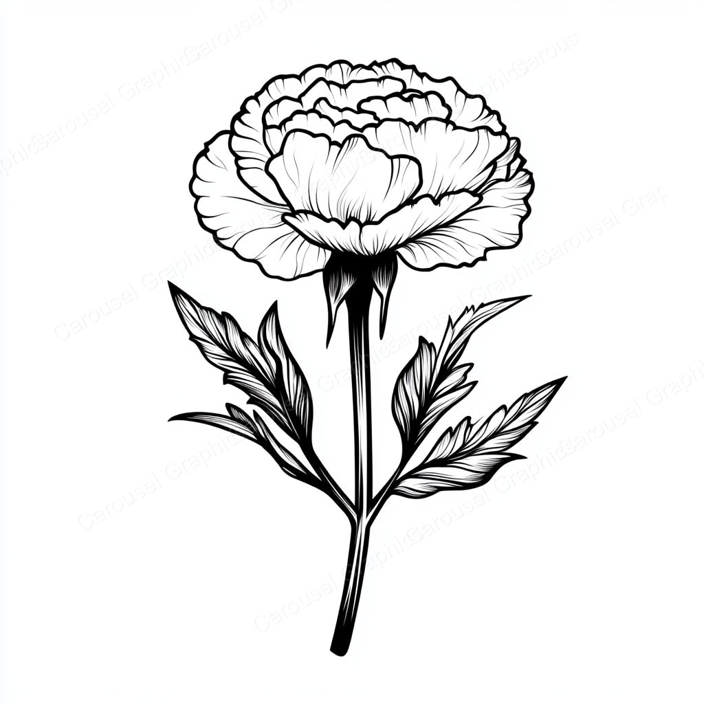 Carnation Vector Graphic preview