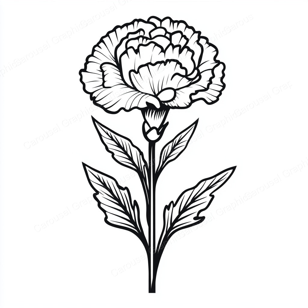 Carnation Vector Graphic preview