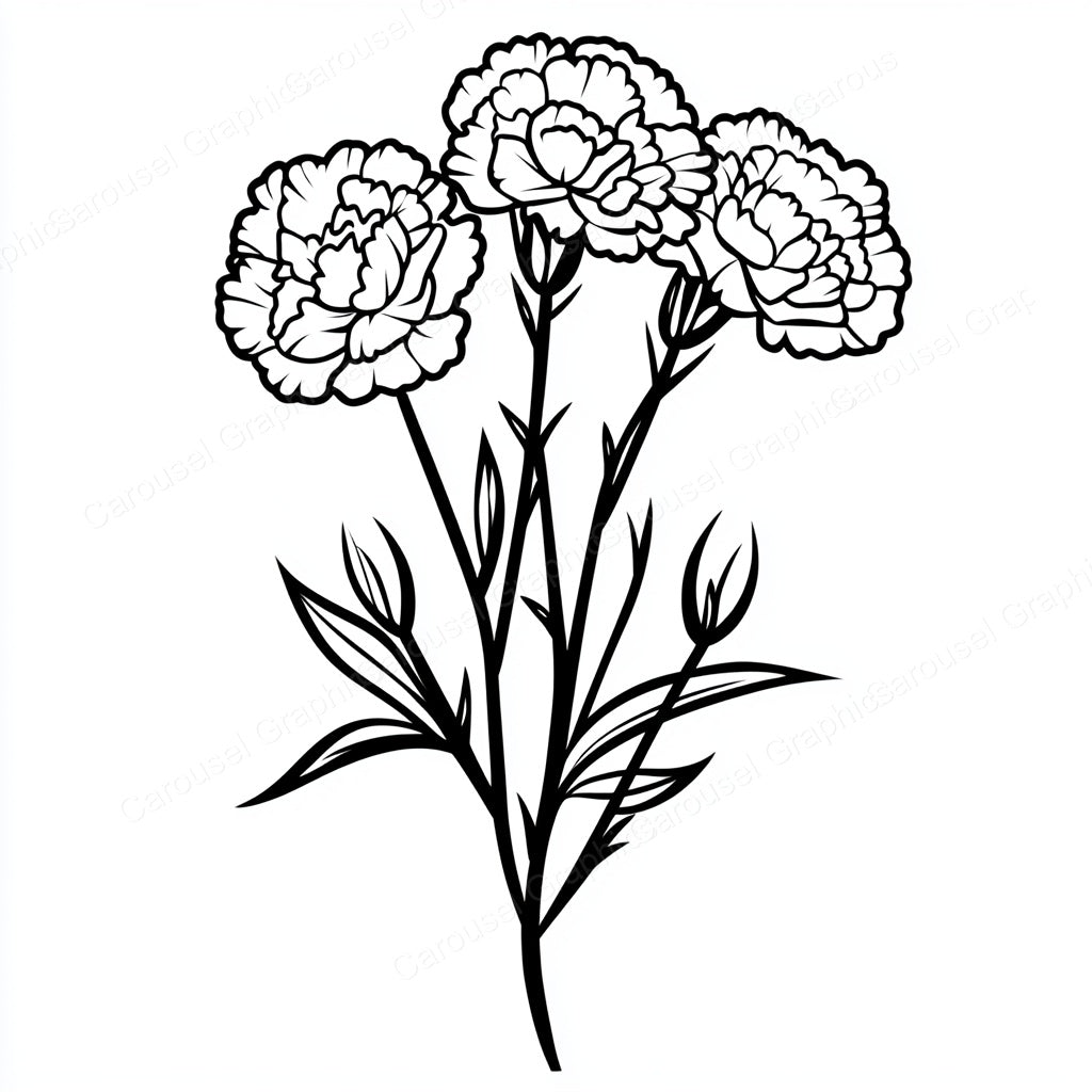Carnation Vector Graphic preview