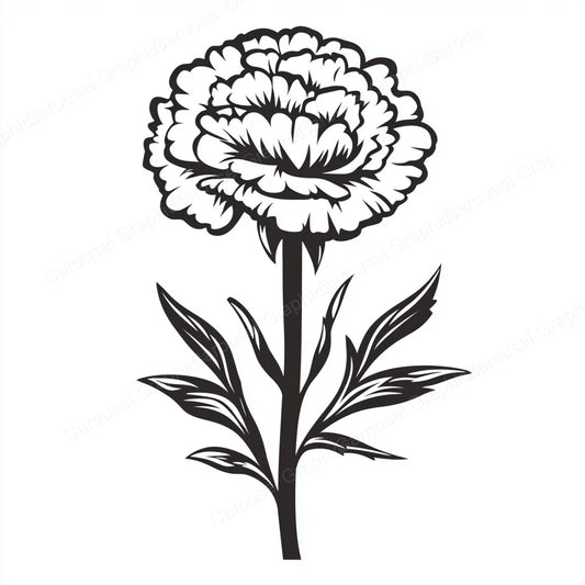 Carnation Vector Graphic preview