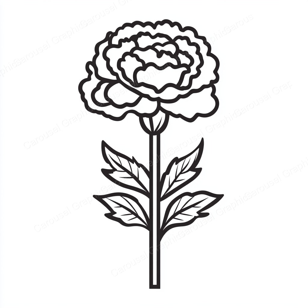 Carnation Vector Graphic preview
