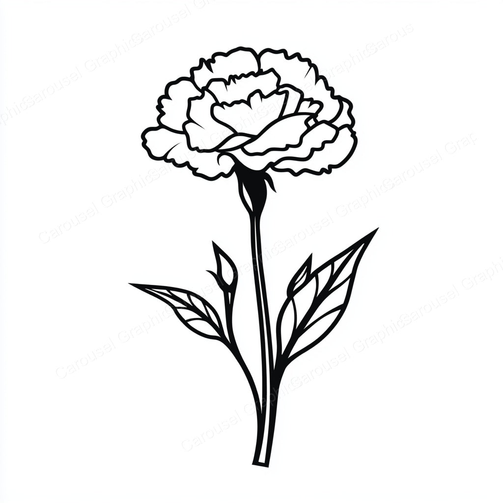 Carnation Vector Graphic preview