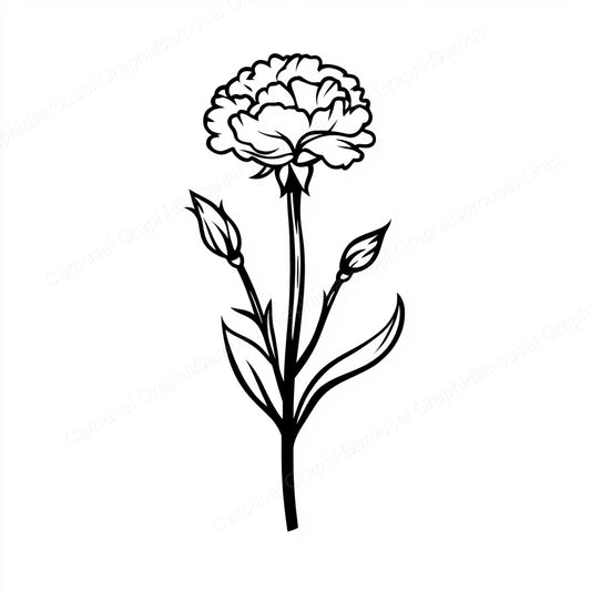 Carnation Vector Graphic preview