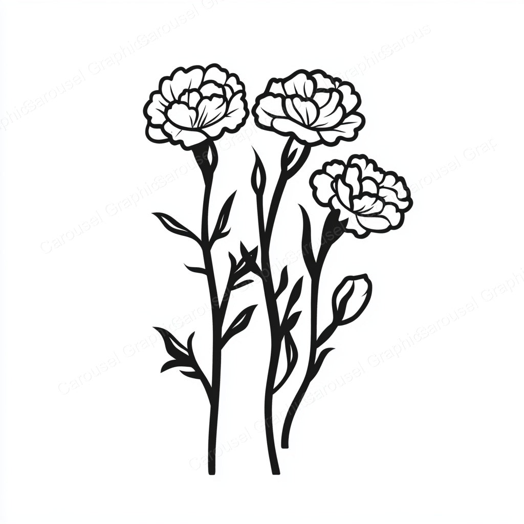 Carnation Vector Graphic preview