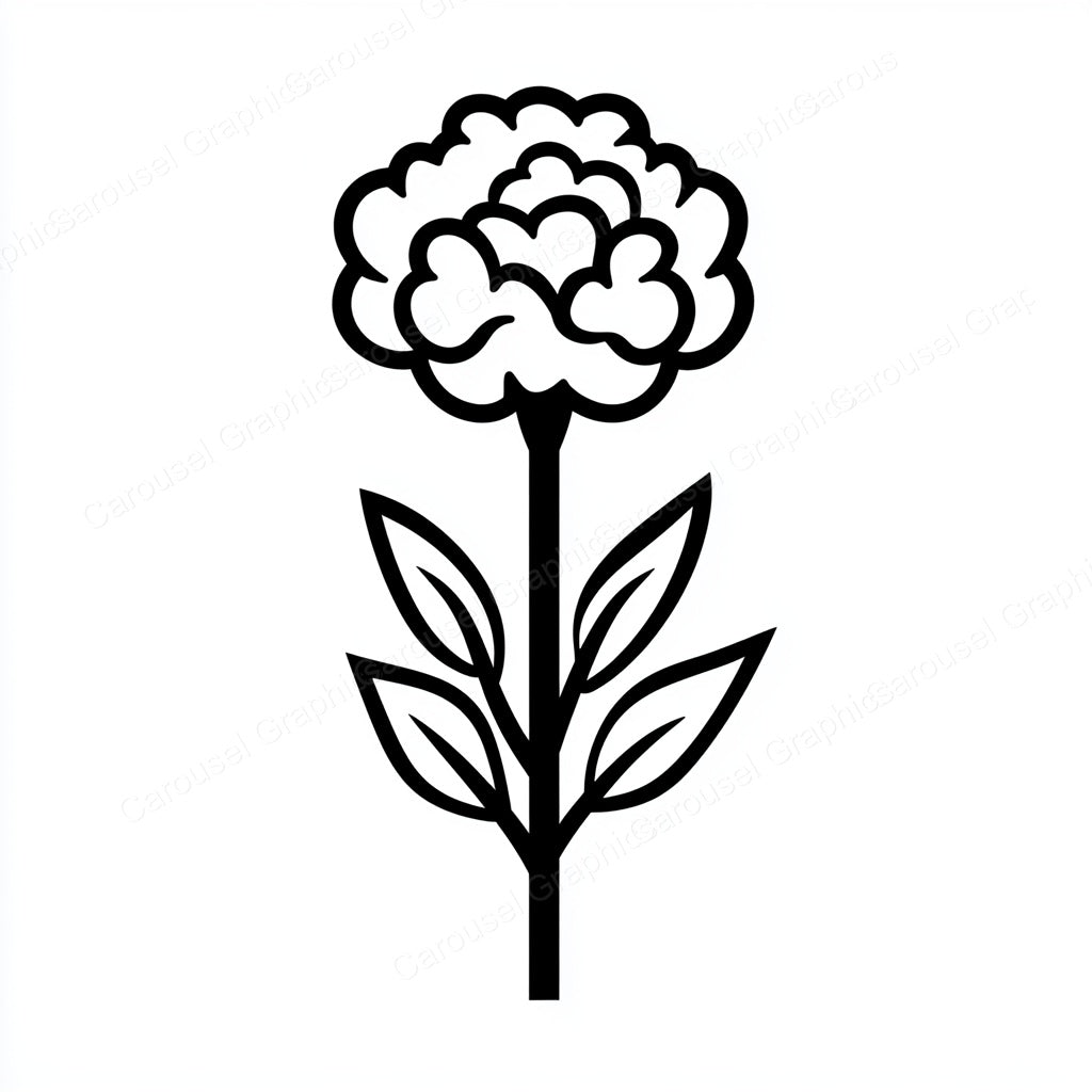 Carnation Vector Graphic preview